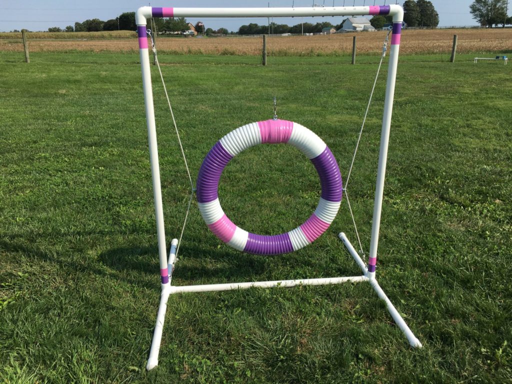 Dog Agility Tire Jump | Carlson-Agility