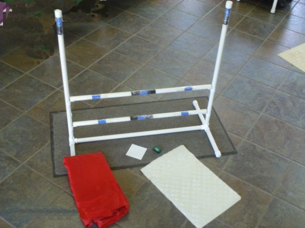 dog agility training equipment kit