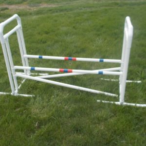 double agility jumps for dogs to enhance jumping abilities during training