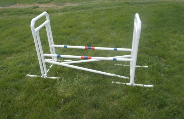 double agility jumps for dogs to enhance jumping abilities during training