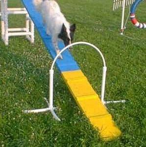 training hoop for agility dog walk