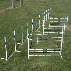 weave poles and jumps