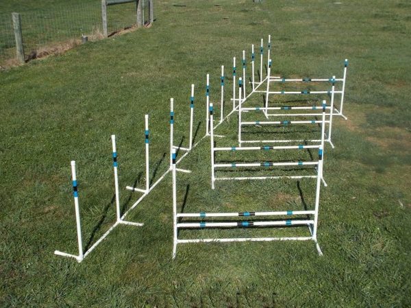 weave poles and jumps