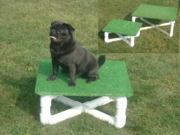 Small Dog Agility Pause Table To Improve Training and Coordination