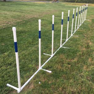 12 dog agility weave poles