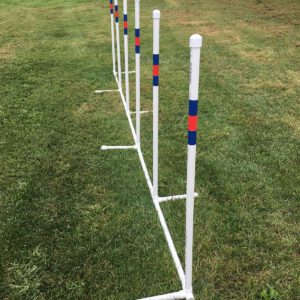 6 AGILITY TRAINING WEAVES WITH PVC BASE