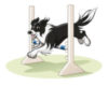 dog agility equipment cartoon
